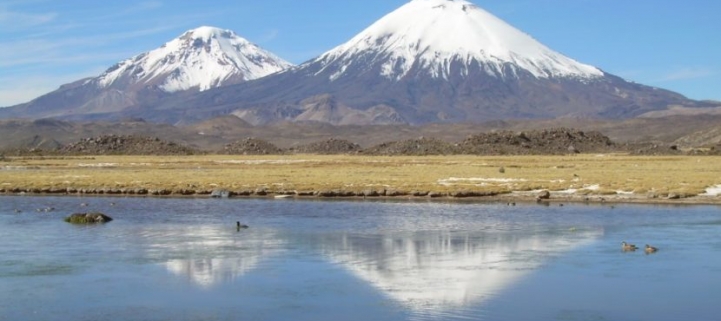 (AR-0035) Parque Nacional Lauca - 2D/1N