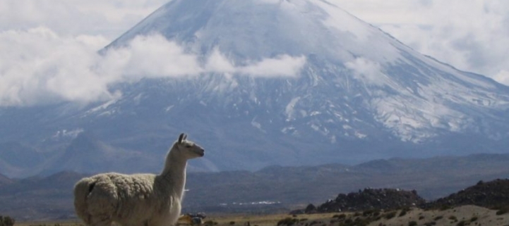 (AR-0036) Parque Nacional Lauca - Full Day