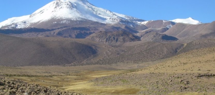 (AR-0037) Reserva Nacional Las Vicuñas - Full Day