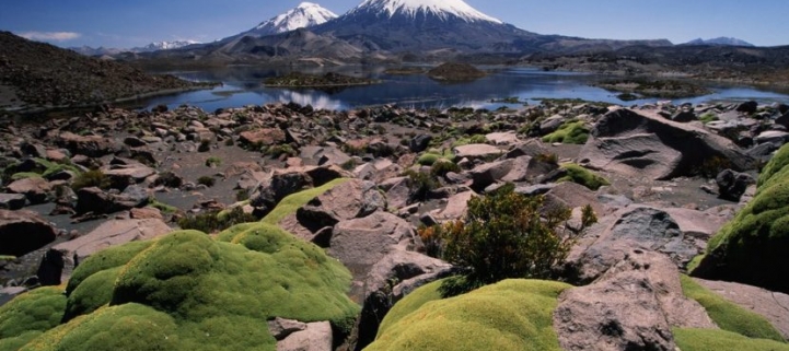 (BPL-0110) Parque Nacional Lauca Full Day