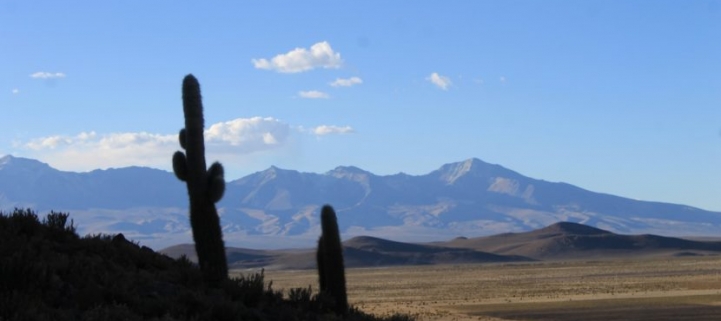 (AR-0032) Parque Nac. Lauca + Reserva Nac. Las Vicuñas + Parque Nac. Volcán Isluga 3D/2N FD