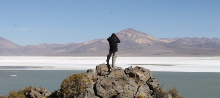 Parque Nac. Volcán Isluga + Reserva Nac. Las Vicuñas + Parque Nac. Lauca 3D/2N